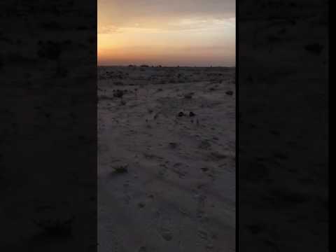 بر ضاحية الملك فهد الجميلة