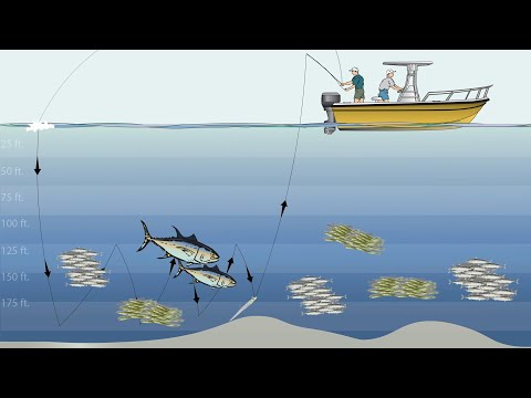 How To: Slow Jigging the Hogy Harness Jig for Giant Bluefin Tuna East of Chatham