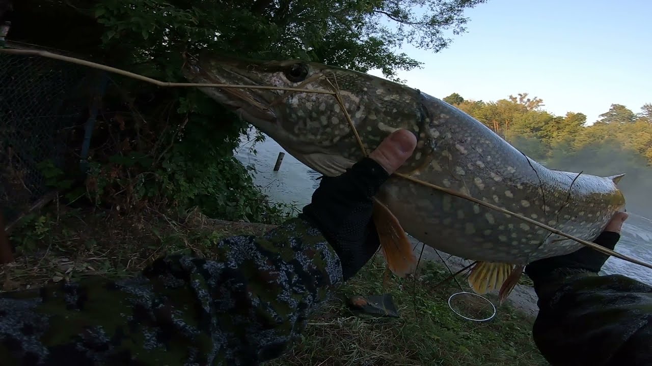 Вся правда о тейлспиннерах. Переплачивать за кусок свинца с лепестком ...