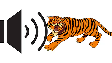 Angry Tiger Growling , Growl , Snarling - Free Sound Effects For Video Editing