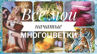 Все мои многоцветки на конец 2023года. Эсте/Химера/Аннаяке/Иволга/Хаед. ♥ Галина Крестик