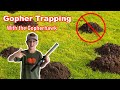 Gopher Trapping With The Gopherhawk! (Includes Catch)