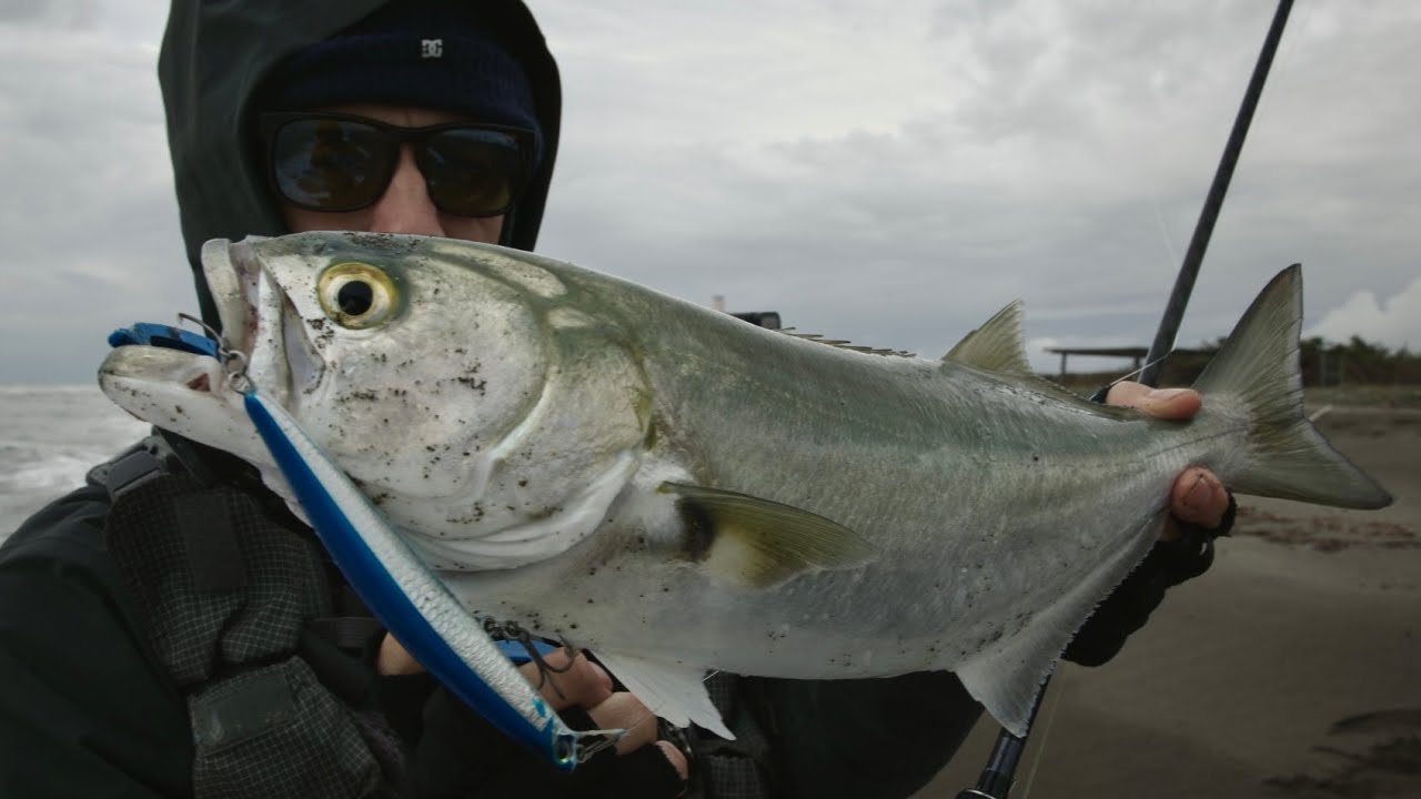 Serra e Spigole in Spiaggia - Fishin'Around Ep. 9