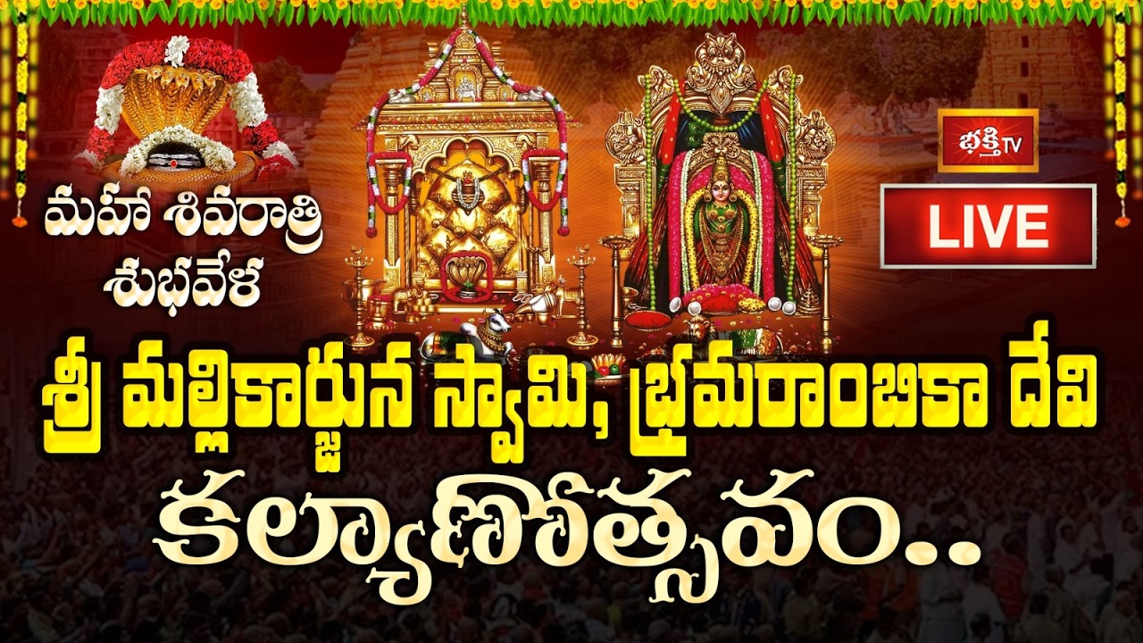 LIVE: మహా శివరాత్రి శుభవేళ శ్రీ మల్లికార్జున స్వామి, భ్రమరాంబికా దేవి కల్యాణోత్సవం.. | Bhakthi TV