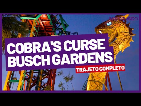 MONTANHA-RUSSA COBRA'S CURSE - BUSCH GARDENS TAMPA (TRAJETO COMPLETO)