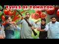 Types Of Tomator Zindabad Vines 2025 Pashto Funny Videos 2025 Types Of Tomator Zindabad Vines 2025 Pashto Funny Videos 2025