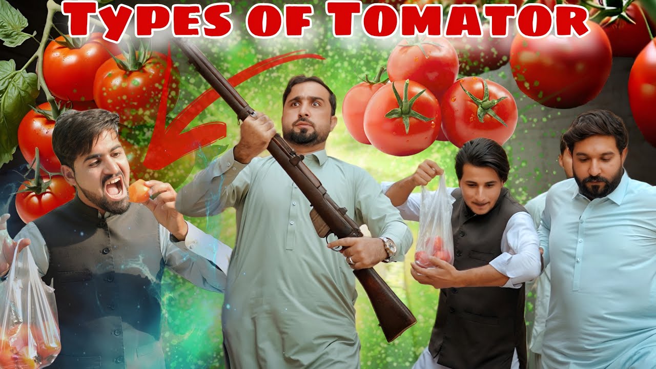 Tomator Types of Tomator | Zindabad vines 2025 | Pashto funny videos 2025 - YouTube