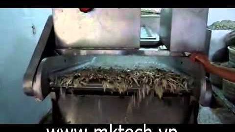 Máy rửa cá, hải sản - washing fish machine WWW.MKTECH.VN