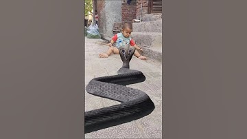 This little child is not afraid of such a big snake.🐉 #shorts #ytshorts #shortsfeed #snake