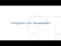 Patient Education: Living Donor Liver Transplantation