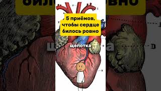 Что делать, если сердце «срывается» с ритма