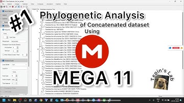 #1 MEGA 11 - Phylogenetic analysis of combined sequences (Tutorial)