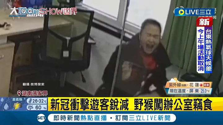 猴子餓壞啦! 野猴直闖辦公室偷水果 中國湖南女子嚇到破音慘叫"連兩次" 公司澄清:疫情猴子沒東西吃│主播 陳宥蓉│【LIVE大現場】20220703│三立新聞台 - 天天要聞