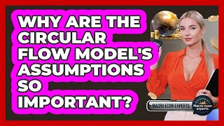 Why Are The Circular Flow Model's Assumptions So Important? - Macroecon Experts