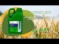 Фенікс Дуо фунгіцид на пшеницю (виробник ALFA Smart Agro)