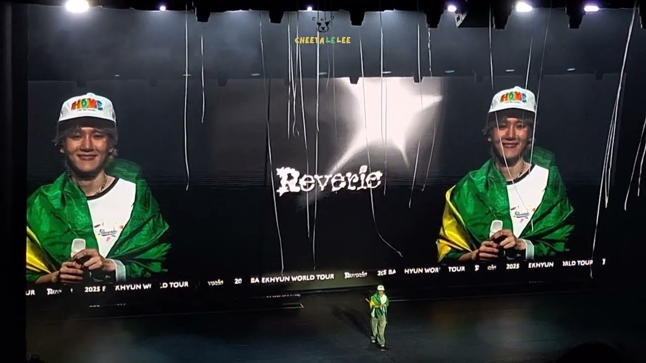 BAEKHYUN IN BRAZIL Day 1 140625 World Tour REVERIE - No Problem + Garden In The Air + Encore