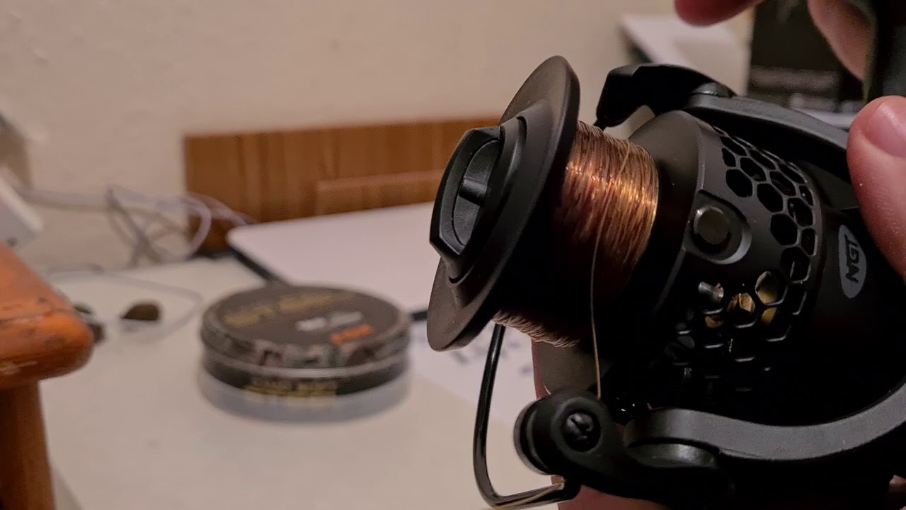 ngt reels