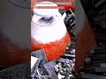 Smart Stone Finishing Machine: Clean Edge Smoothing Process Flow