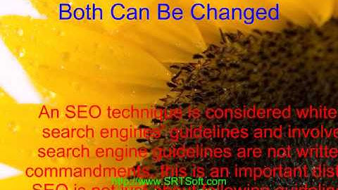 A Longer Example of Article To SWF: Convert Article to Talking Video Easily.