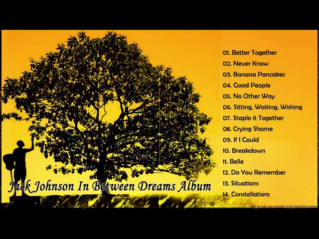 Jack Johnson  -  Between Dreams