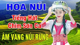 HOA NÚI..Em Gái 2k3 Hát Nhạc Vùng Cao Tây Bắc Cực Hay..Giọng Hát Trong Vắt Như Chim Sơn Ca