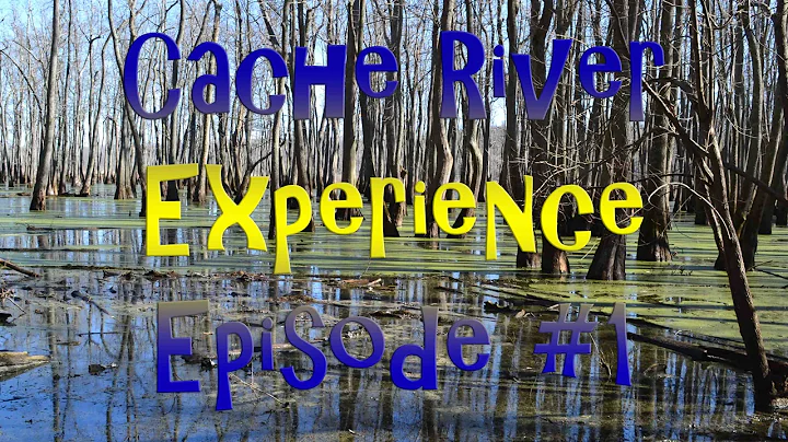 Cache River Experience in Southern Illinois [Episode #1]