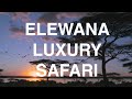 Elewana   africa luxury safari film rick ray