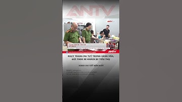 Ngụy trang 27 bánh heroin, 5kg ma túy trong thùng hàng gửi xe khách đi tiêu thụ #antv #shorts