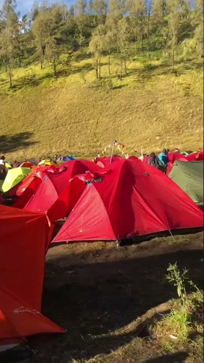 LAGI CAMPING DI SAMPING DANAU | HALU STORY #shorts  #storyhalu #storyig #storywa