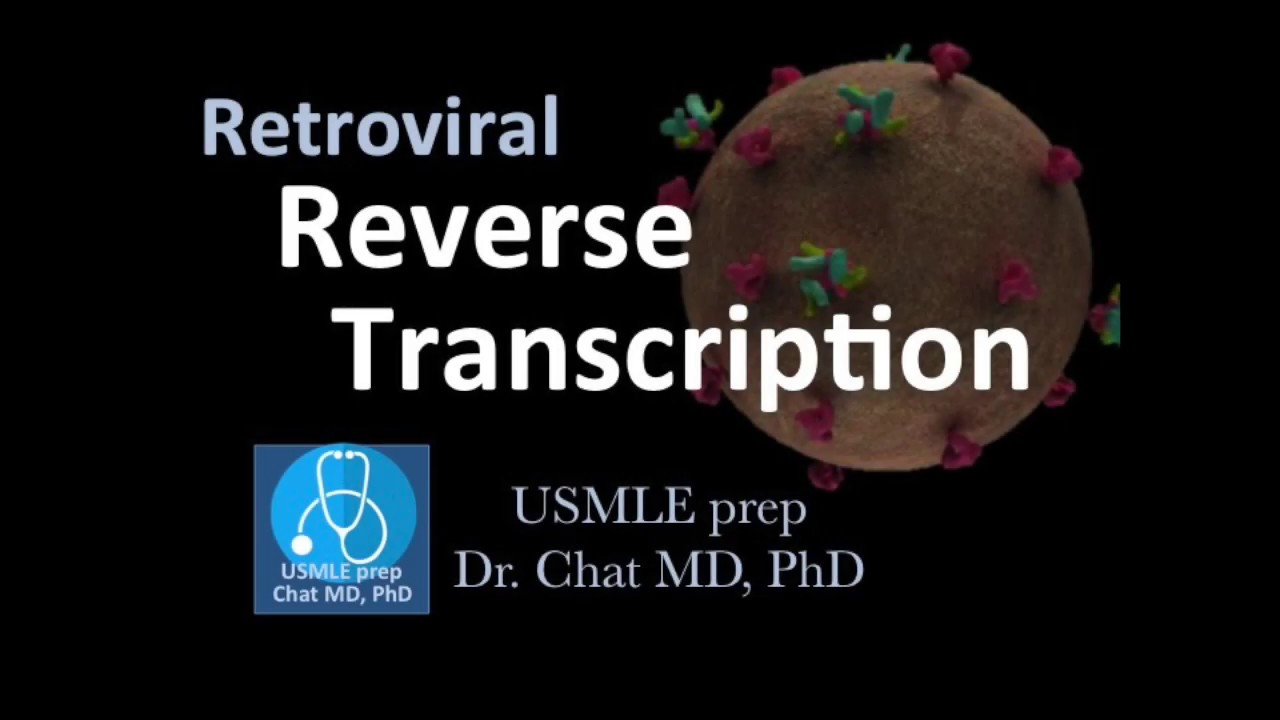 Retroviral Reverse Tanscription / Animation - YouTube