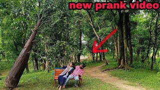 😂😅NEW ARTIFICIAL TREE PRANK| PRANK WITH BALLS