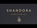 Shandora  dance your life