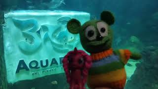 Visitando Aquarium Veracruz México