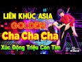 LK Asia Golden Cha Cha Cha Xúc Động Triệu Con Tim | Hòa Tấu Cha Cha Cha Nhạc Trẻ Xưa 7X 8X 9X