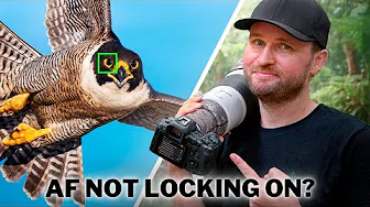 Why Your AUTOFOCUS Lets You Down...And it’s NOT Your Camera!