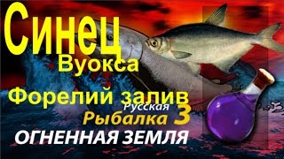 Синец Русская рыбалка 3 Огненная Земля (Отвар Удачи) (Russian Fishing)