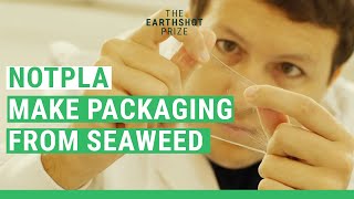 Revolutionary Seaweed Packaging to Tackle Plastic Pollution | Notpla