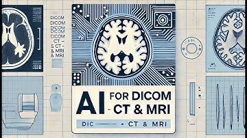 Open-Source & Pre-Trained AI Models for DICOM | CT & MRI Segmentation Explained!