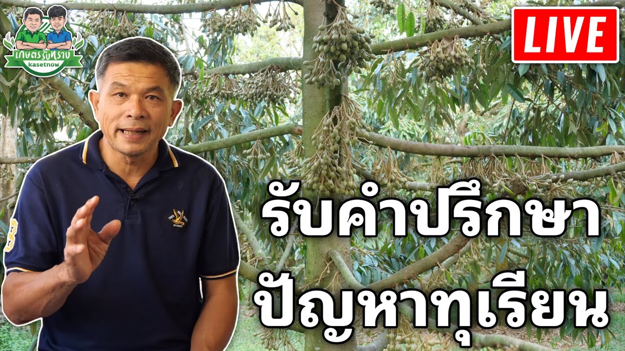 LIVE🔴รับปรึกษาปัญหาทุเรียน วันที่ 22/12/2025