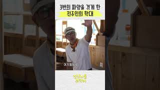 고양이가 계속 파양되는 이유