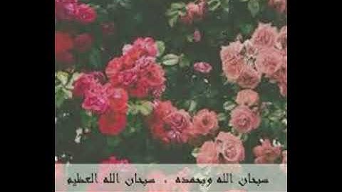 ألا بذكر الله تطمئن القلوب 😍 سورة الرعد #أحمد مسعد