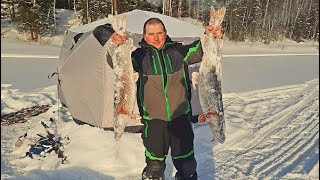 Таёжное Озеро Удивило! Трофейные Щуки Не Лезут В Лунки! Клёв Плотвы Как Из Пулемета!!!