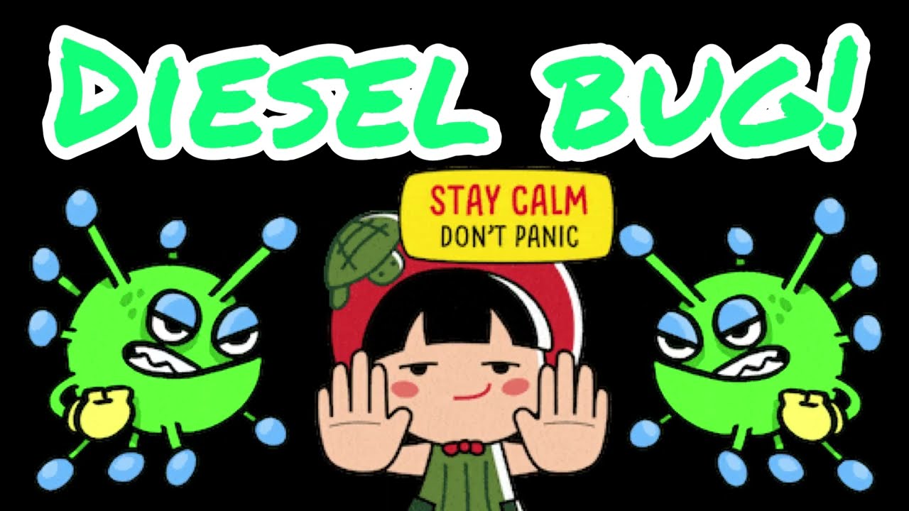 Diesel Bug