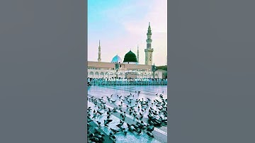قرآن كريم #المصحف #الرحمن #اكسبلور