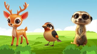 Lovely animal moment: Reddeer, Hawfinch, Meerkat | Animals sound✨