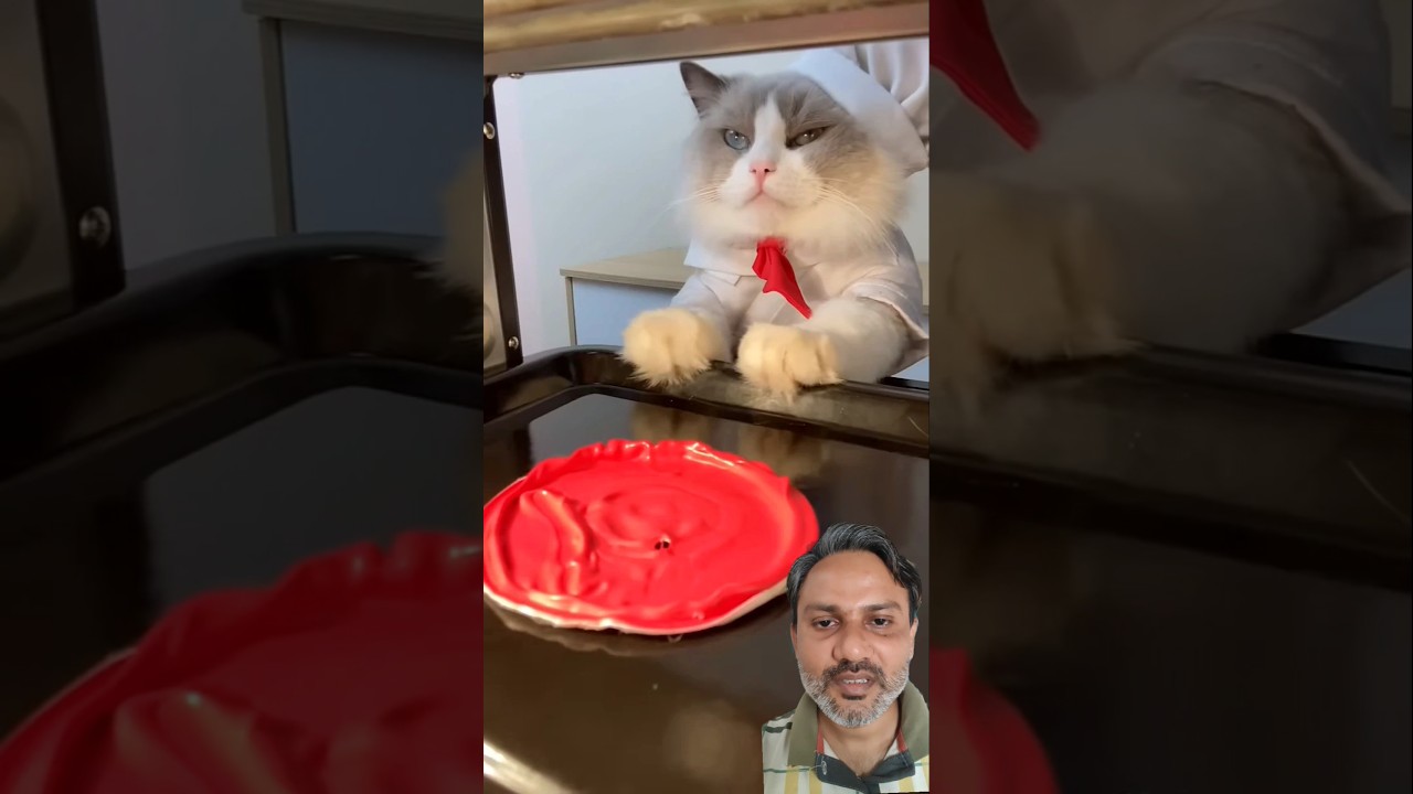 Something new kitchen hook 