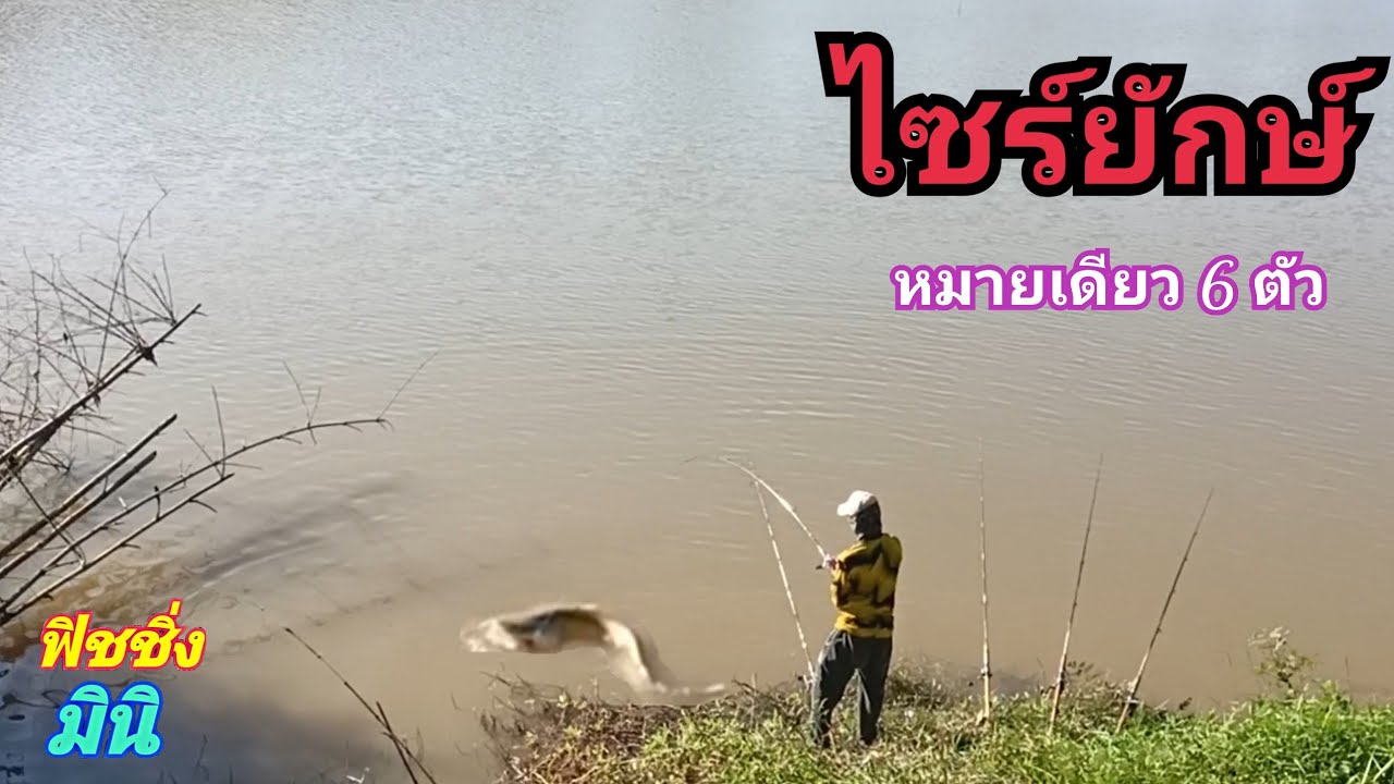 ..ไอ้ค้าวยักษ์..ไซร์ 10.. 😱 เข้ายกฝูงหมายเดียว 6 ตัว ฟิชชิ่งมินิ.