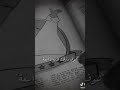 الفار الطباخ لازم تبقي مبتكر النجاح إبتكار   