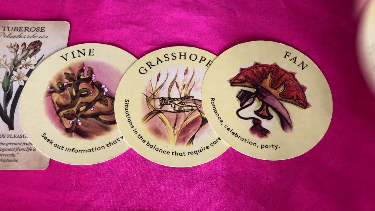 Chủ Nhật-Và Thứ Hai này của Bạn có gì vui điều gì sẽ diễn ra trong cuộc sống của Bạn