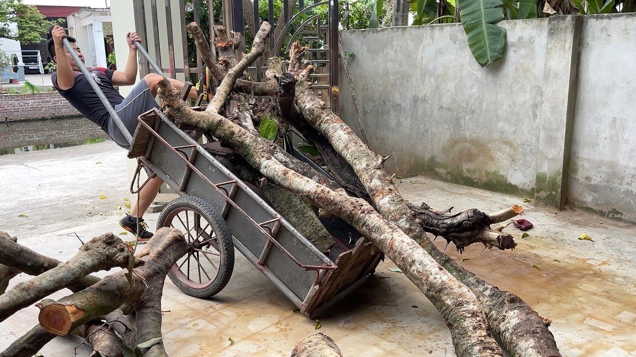 Amazing Breakthrough Woodworking Projects And Skills | Best Hardwood ...